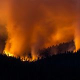 Der Yosemite-Nationalpark steht in Flammen. Nach Mitteilung der Behörden breitete sich das Feuer am Freitag am Südrand des Nationalparks in dem beliebten Ausflugsgebiet aus. Das sogenannte "Washburn"-Feuer war demnach bis Freitagabend auf eine Fläche von 188 Hektar angewachsen.
