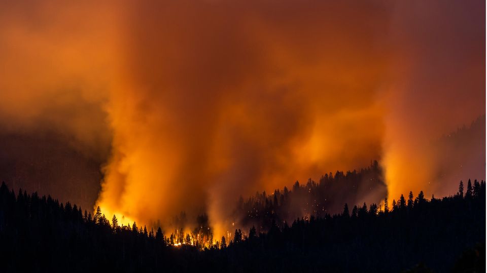Der Yosemite-Nationalpark steht in Flammen. Nach Mitteilung der Behörden breitete sich das Feuer am Freitag am Südrand des Nationalparks in dem beliebten Ausflugsgebiet aus. Das sogenannte "Washburn"-Feuer war demnach bis Freitagabend auf eine Fläche von 188 Hektar angewachsen.