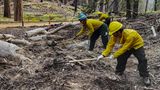 Arbeiter entfernen trockenes Unterholz, um so dem Feuer die Nahrung zu nehmen