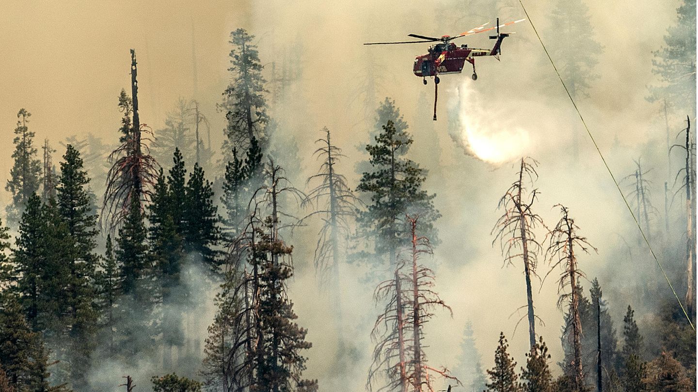Auch dieser Hubschrauber wirft Wasser über dem Feuer im Yosemite ab. Unter ihm ragen Bäume aus dem Rauch, die teilweise schon verbrannt sind