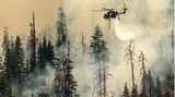 Auch dieser Hubschrauber wirft Wasser über dem Feuer im Yosemite ab. Unter ihm ragen Bäume aus dem Rauch, die teilweise schon verbrannt sind