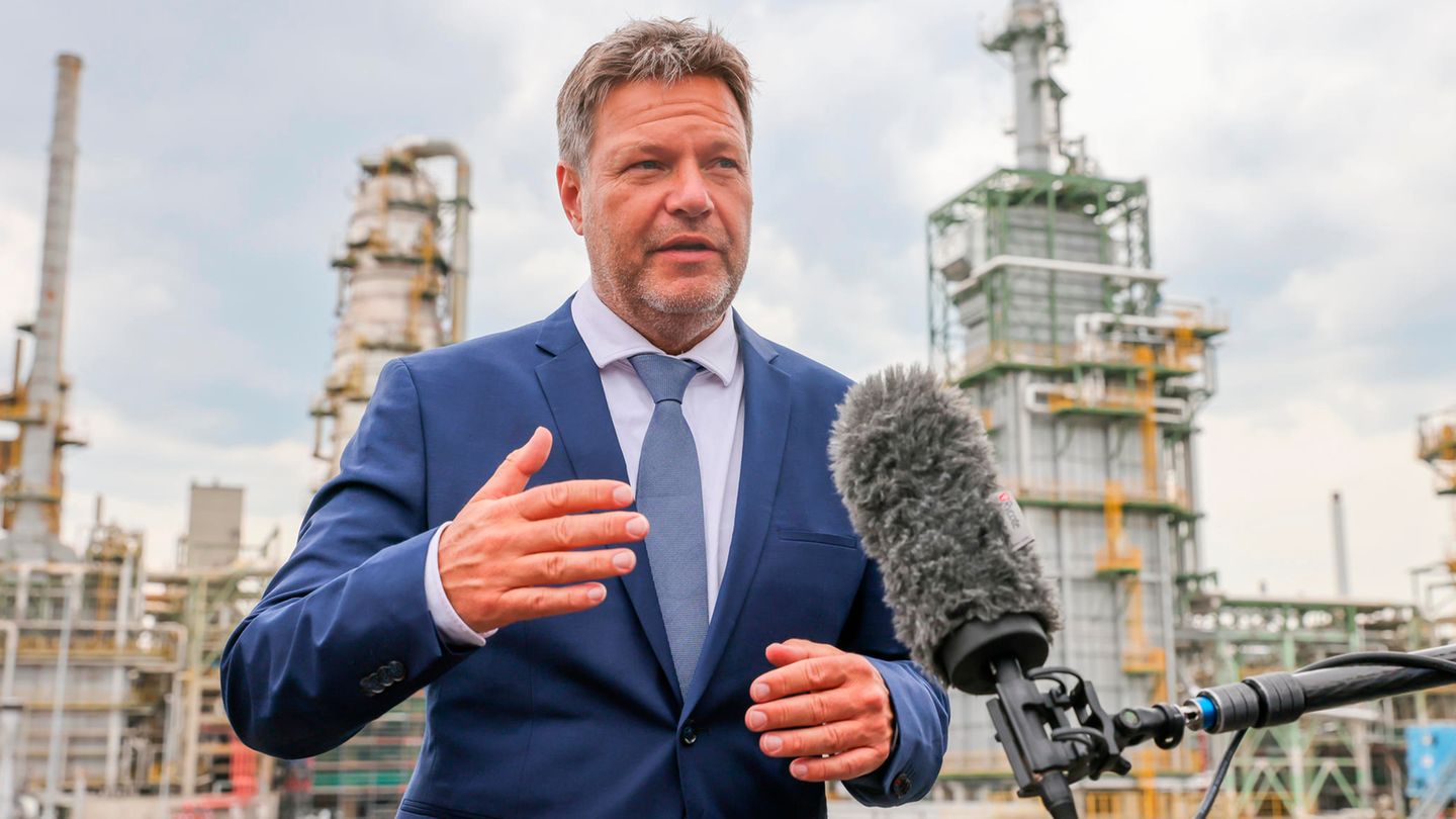 Robert Habeck über Gas