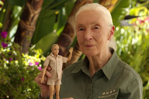  Dr. Jane Goodall