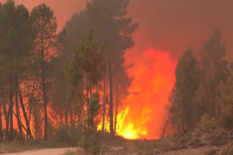 Video: Feuerwehrleute bekämpfen Waldbrände nördlich von Lissabon