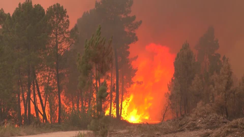 Video: Feuerwehrleute bekämpfen Waldbrände nördlich von Lissabon