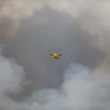 Löschflugzeug fliegt durch den Rauch