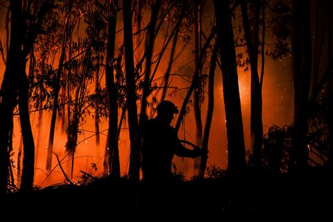 Ein Feuerwehrmann kämpft gegen die Flammen