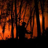 Ein Feuerwehrmann kämpft gegen die Flammen