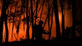 Ein Feuerwehrmann kämpft gegen die Flammen