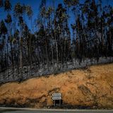 Am Ende bleiben vor allem Asche, Staub und wohnungslose Menschen. Die Waldbrände haben nach Behördenangaben bisher ungefähr 2000 bis 2500 Hektar Wald zerstört. Das entspricht etwa 2800 bis 3500 Fußballfeldern.