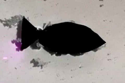 Ferngesteuerte Fischroboter sollen in Zukunft Plastikmüll aus Meer sammeln