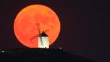 Consuegra, Spanien. Hinter einer traditionellen Windmühle sieht der Supermond gleich noch eindrucksvoller aus. Die Größe ist eine optische Täuschung, obwohl der Mond der Erde gerade besonders nahe kommt – bei immernoch mehr als 350.000 Kilometern Abstand.