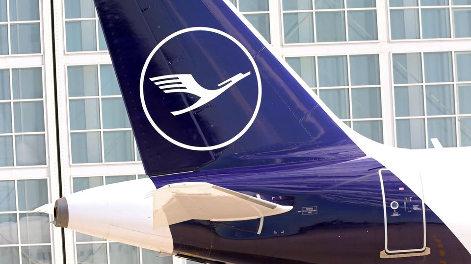 Heckleitwerk eines Lufthansa Jets