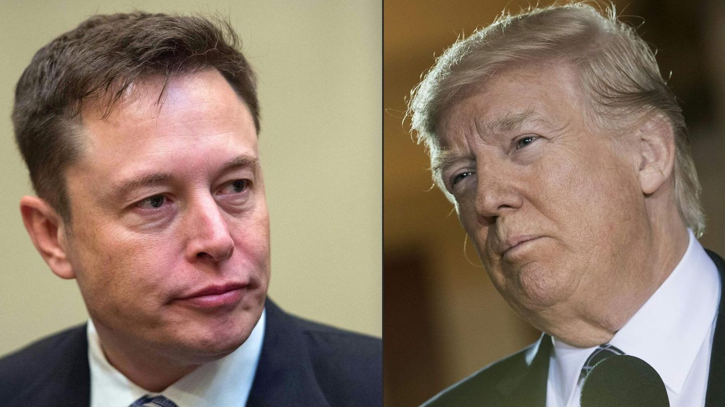 Donald Trump And Elon Musk Fight Verbal Battles With Insults - News In ...