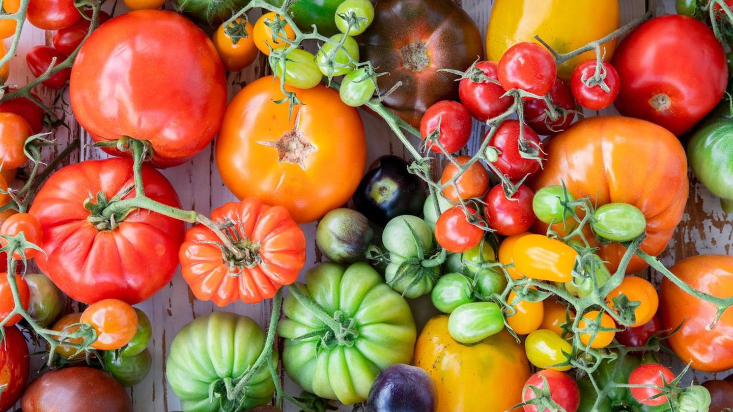 Tomaten Tomaten