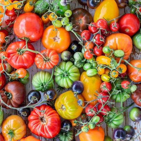 Tomaten