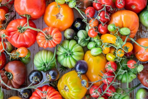 Tomaten