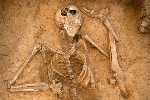 Die Ruhe dieses Toten wurde 200 Jahre nicht gestört, das ist eine große  Ausnahme.