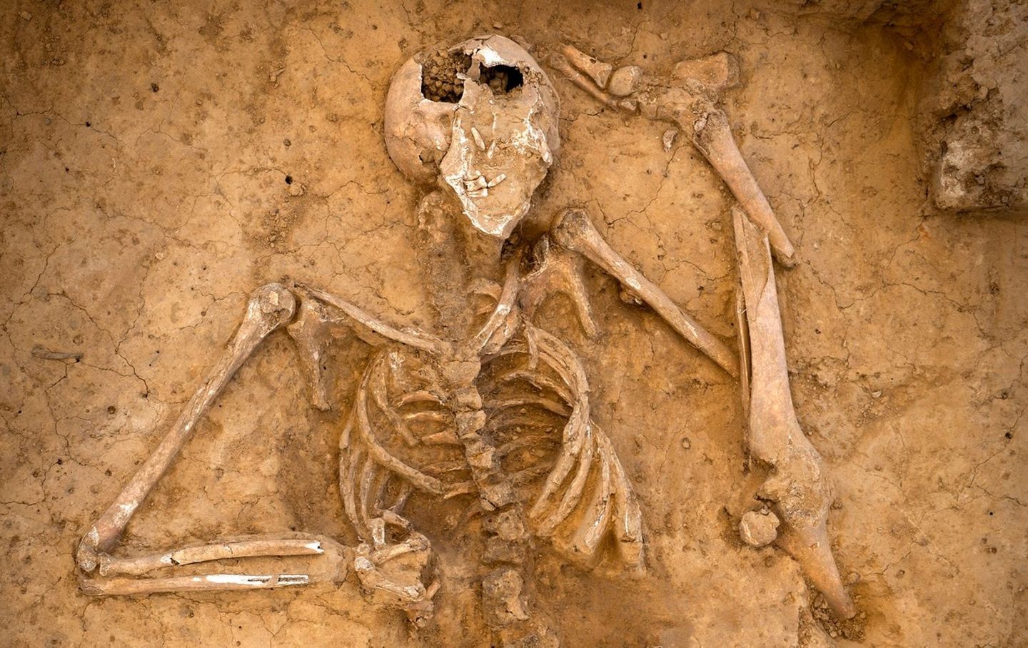 Die Ruhe dieses Toten wurde 200 Jahre nicht gestört, das ist eine große  Ausnahme.