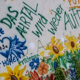 1 Jahr Ahr Wieder aufblühen