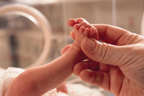 Frühchen im Krankenhaus –Umwelthormone könnten Risiko für Frühgeburten steigern