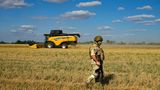 Melitopol, Ukraine. Ein russischer Soldat bewacht ein Weizenfeld