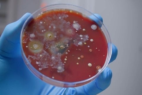 Vorsicht vor Handtrocknern: Epidemiologe warnt mit TikTok-Experiment