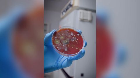 Vorsicht vor Handtrocknern: Epidemiologe warnt mit TikTok-Experiment
