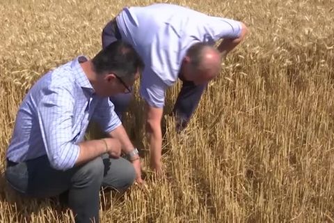 Video: Özdemir besorgt über Dürre auf den Feldern