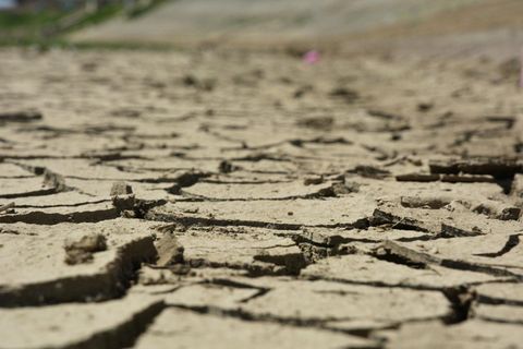 Hitze und Trockenheit in Kroatien: Die Erde hat wegen Trockenheit Risse bekommen