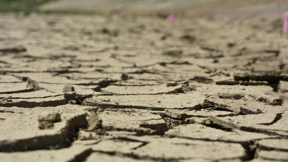 Hitze und Trockenheit in Kroatien: Die Erde hat wegen Trockenheit Risse bekommen