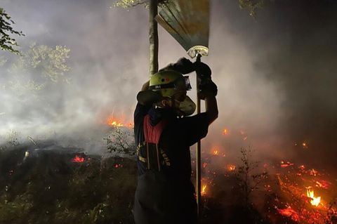 Ein Feuerwehrmann arbeitet nördlich von Wiesbaden daran, einen ausgebrochenen Waldbrand einzudämmen