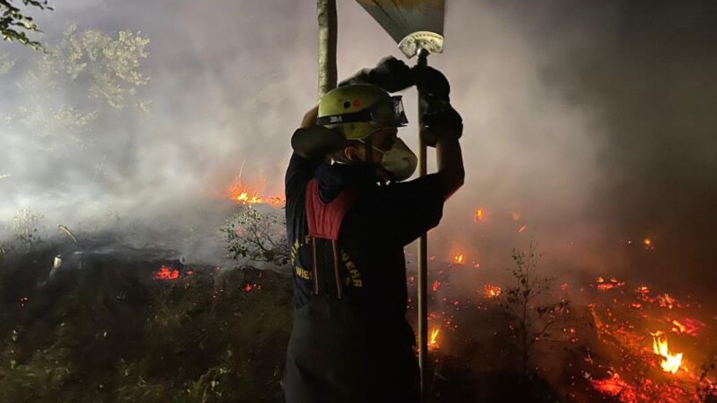Ein Feuerwehrmann arbeitet nördlich von Wiesbaden daran, einen ausgebrochenen Waldbrand einzudämmen