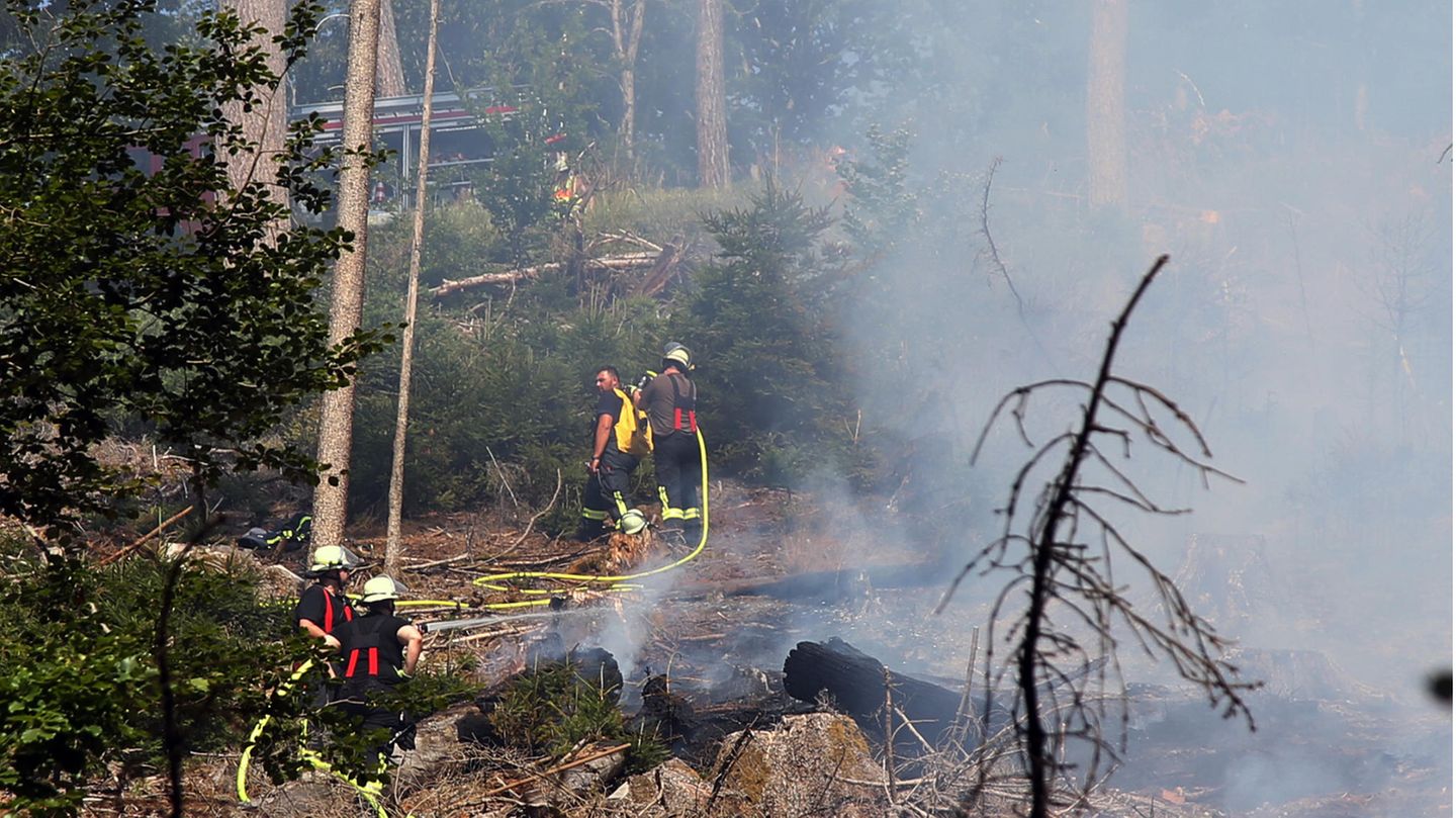 Auch in Deutschland flammen erste Waldbrände auf – nachdem Brandenburg schon im Juni betroffen war, löschen Feuerwehrleute hier ein Feuer in Mespelbrunn, Bayern.