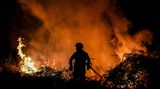 In Portugal waren am Montag noch fünf größere Brände aktiv. Nach Angaben der Naturschutzbehörde ICNF vernichteten die Flammen in Portugal in einer guten Woche rund 30.000 Hektar Wald.