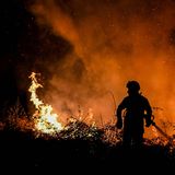 In Portugal waren am Montag noch fünf größere Brände aktiv. Nach Angaben der Naturschutzbehörde ICNF vernichteten die Flammen in Portugal in einer guten Woche rund 30.000 Hektar Wald.