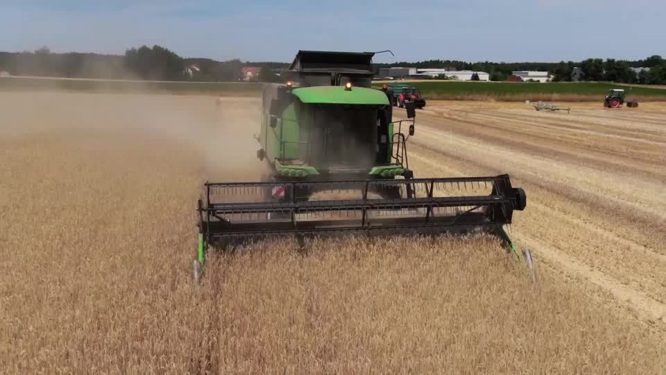 Video: Landwirte beklagen schlechten Ertrag durch Dürre
