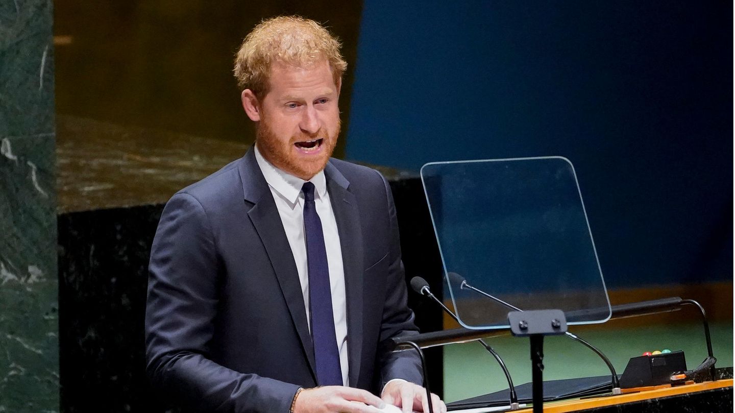 Prince Harry: Fiery speech to the UN – including a declaration of love to Meghan