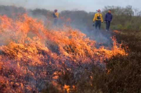 Die Gefahr von Waldbränden steigt