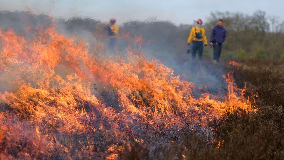 Die Gefahr von Waldbränden steigt