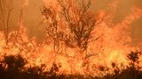 Im Nordwesten Spaniens haben die verheerenden Waldbränden bereits mehrere Todesopfer gefordert.