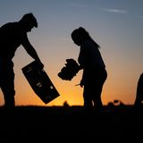 Ernte im Sonnenaufgang