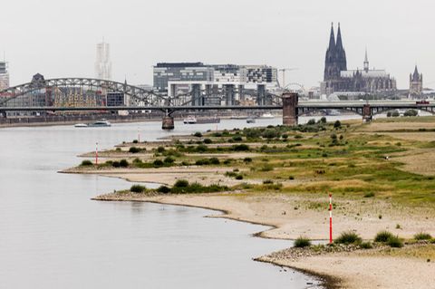 Blick auf Köln in der Juli-Hitze