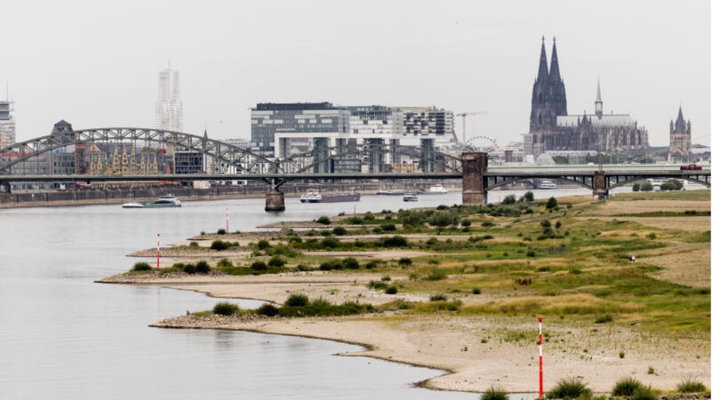 Blick auf Köln in der Juli-Hitze