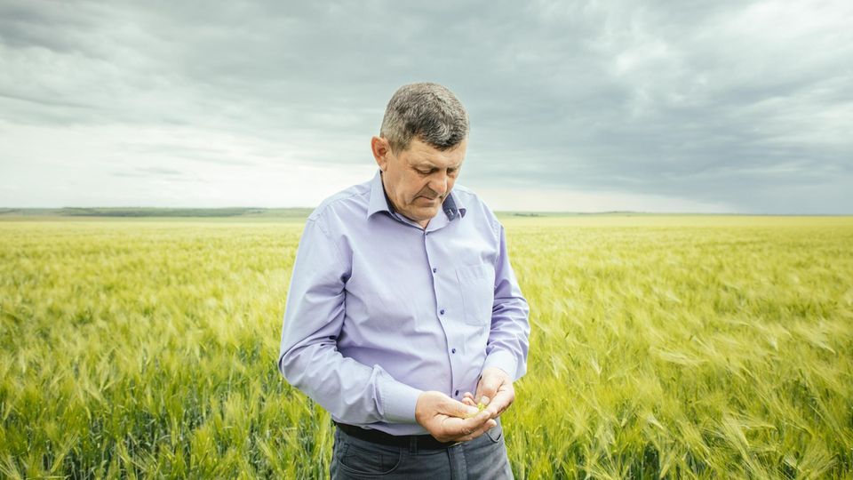 Juryj Jalowtschuk in seinem noch grünen Getreidefeld Juryj Jalowtschuk in seinem noch grünen Getreidefeld
