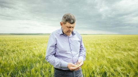 Juryj Jalowtschuk in seinem noch grünen Getreidefeld