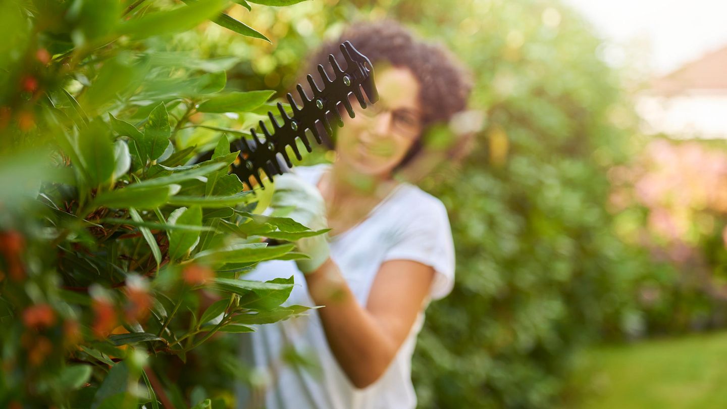 Mit Akku ist das Arbeiten im Garten viel leichter als mit Kabel.