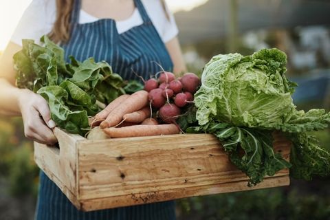 Balkon und Garten: Diese Gemüsesorten können Sie im Juli aussäen