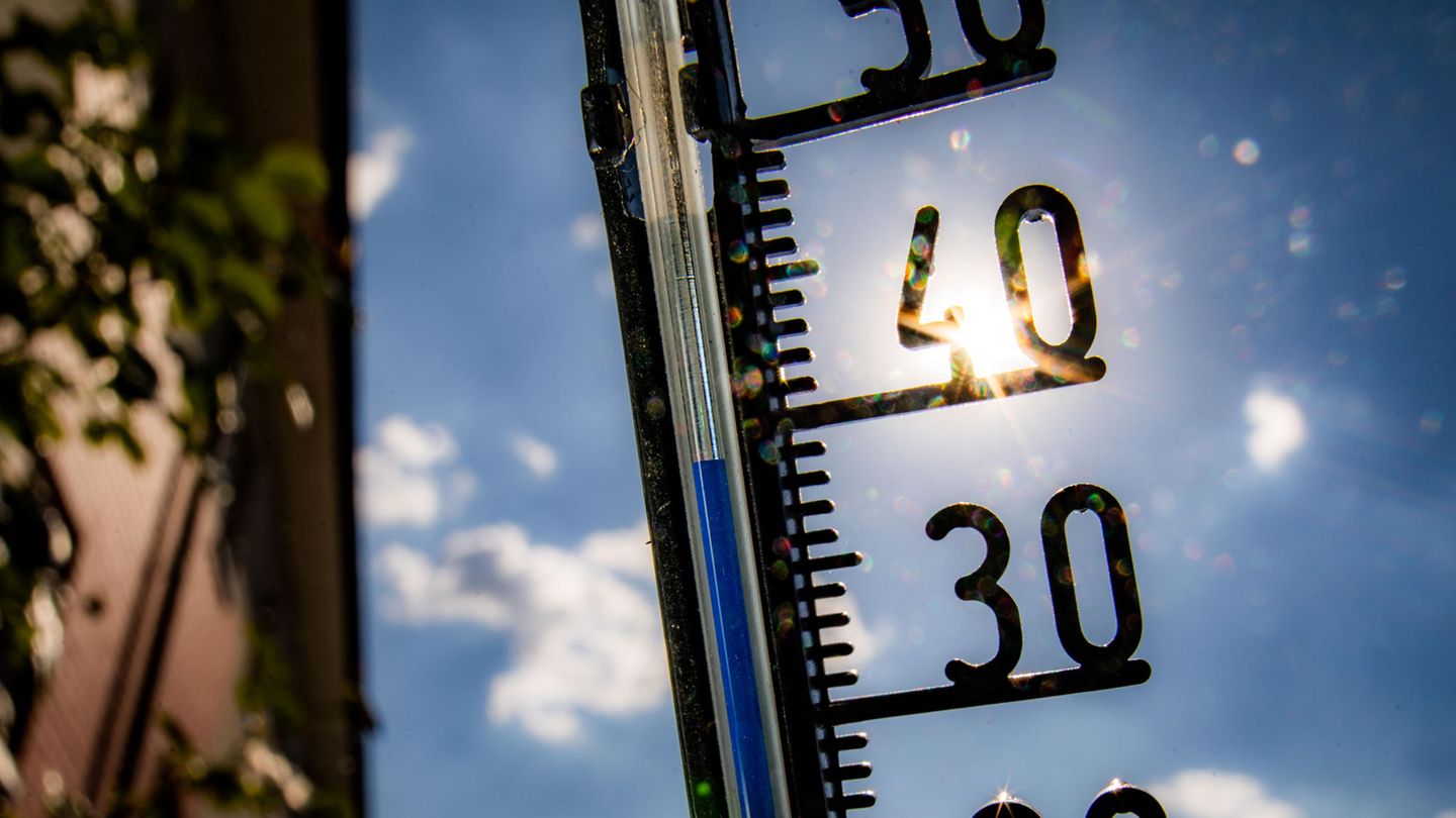 Notizie di calore: la temperatura registrata in sei stati federali – quattro volte più di 40 gradi