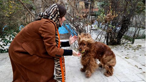 Eine Frau in Teheran spielt mit ihrem Hund